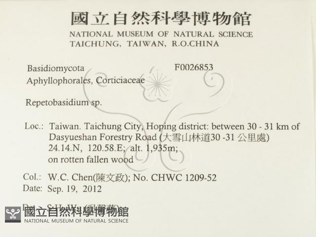 登錄號:F0026853藏品圖，第2張