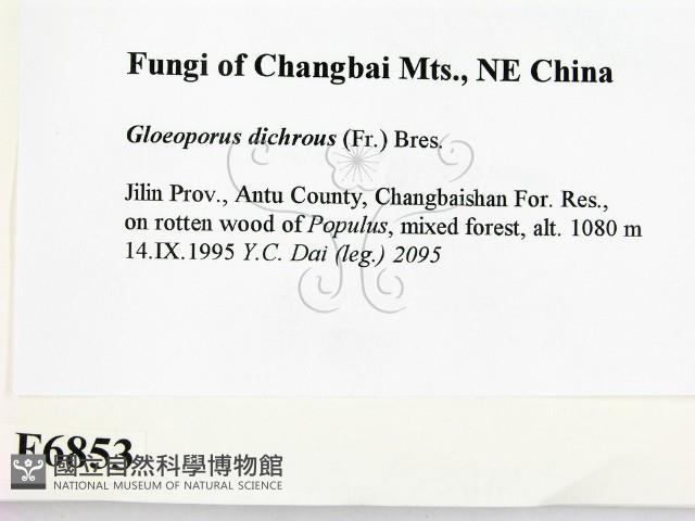 登錄號:F0006853藏品圖，第2張