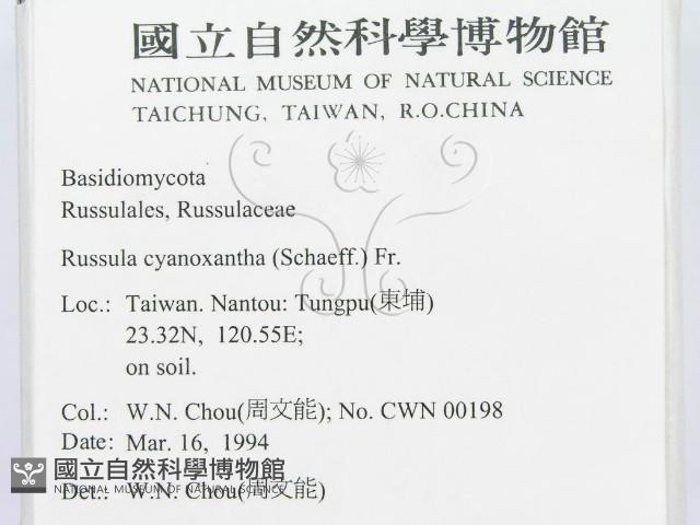 登錄號:F0001853藏品圖，第2張