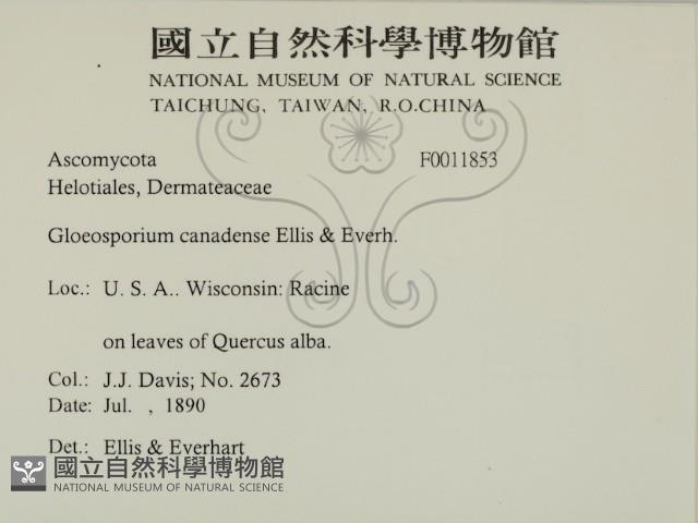登錄號:F0011853藏品圖，第2張