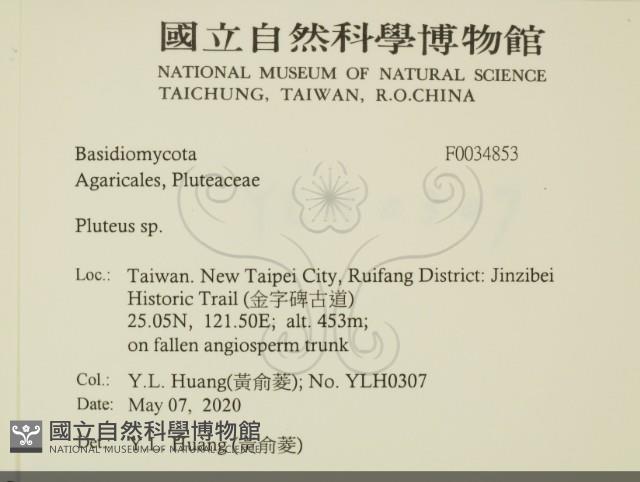 Accession Number:F0034853 Collection Image, Figure 2, Total 2 Figures