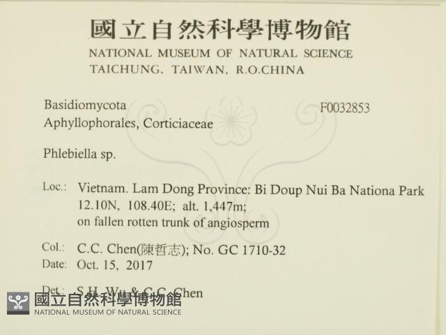 登錄號:F0032853藏品圖，第2張