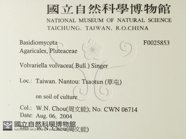 登錄號:F0025853藏品圖，第2張