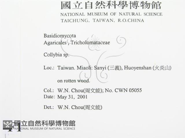 登錄號:F0015853藏品圖，第2張