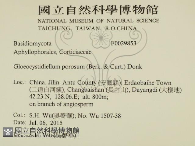 登錄號:F0029853藏品圖，第2張