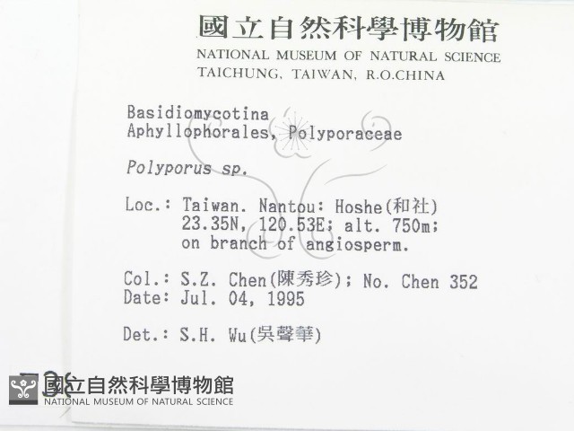 多孔菌屬藏品圖，第2張
