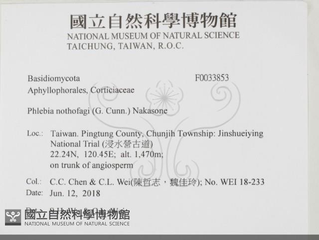 登錄號:F0033853藏品圖，第2張