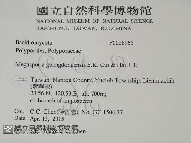 登錄號:F0028953藏品圖，第2張