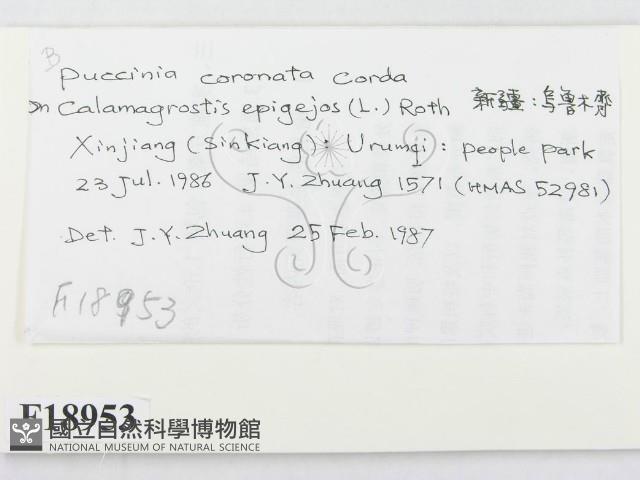 登錄號:F0018953藏品圖，第2張