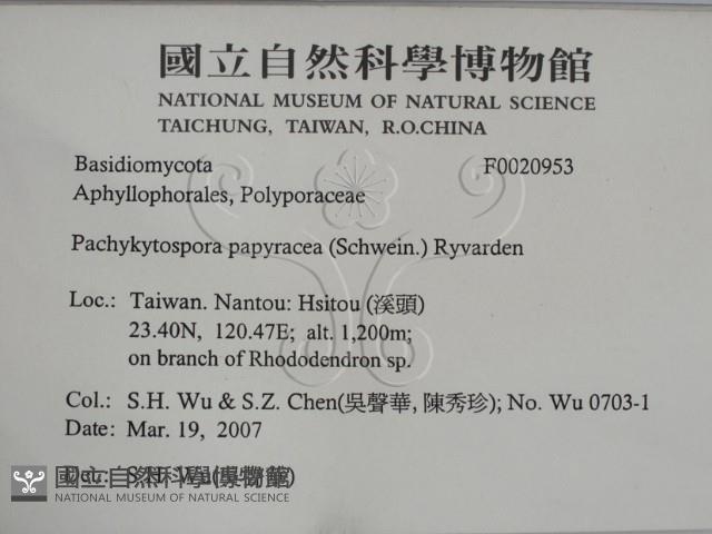 登錄號:F0020953藏品圖，第2張