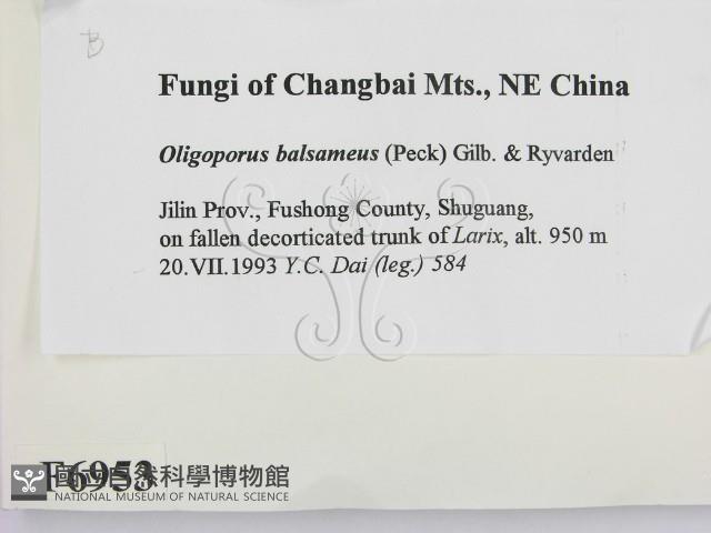 登錄號:F0006953藏品圖，第2張