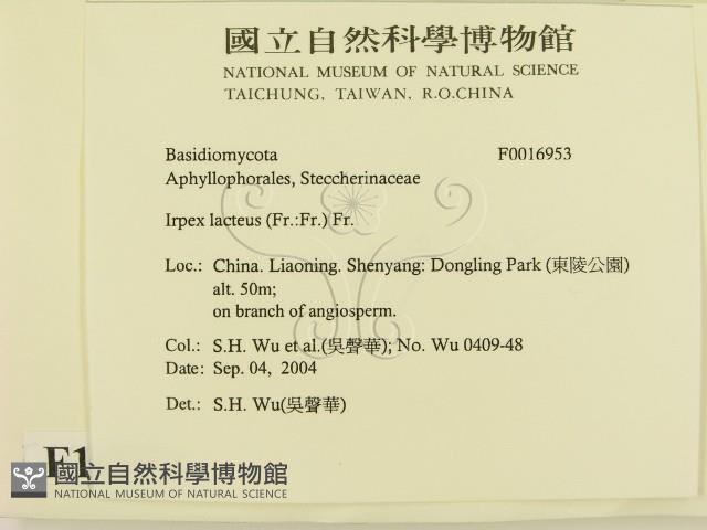 登錄號:F0016953藏品圖，第2張