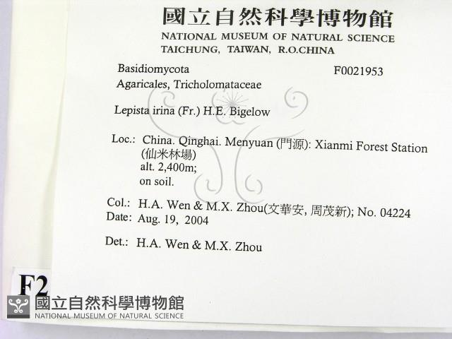 登錄號:F0021953藏品圖，第2張