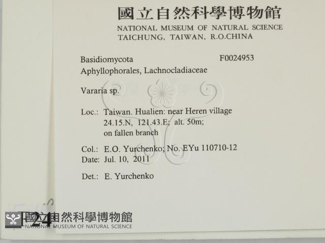 登錄號:F0024953藏品圖，第2張