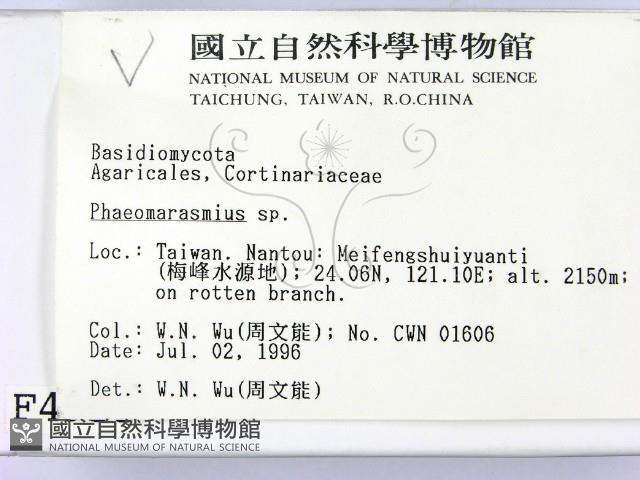 登錄號:F0004953藏品圖，第2張