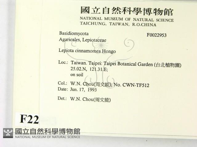 登錄號:F0022953藏品圖，第2張