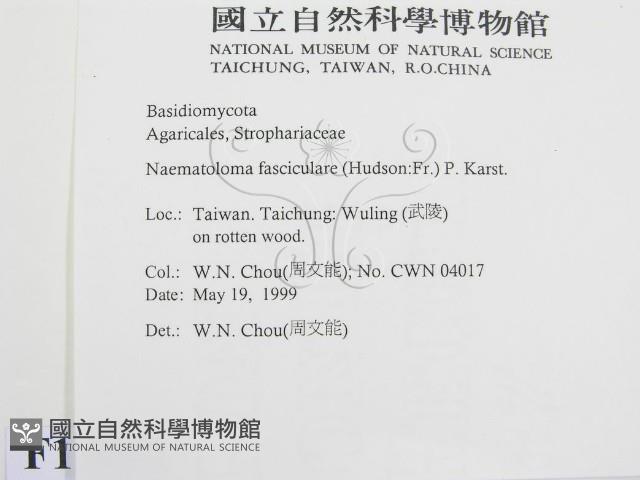 登錄號:F0012953藏品圖，第2張