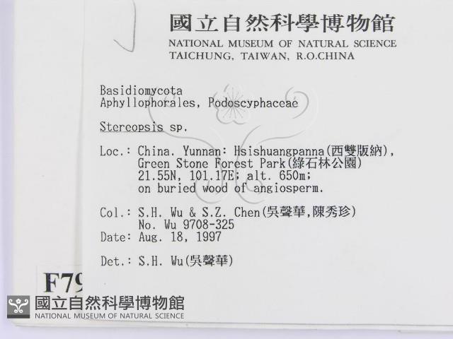 登錄號:F0007953藏品圖，第2張