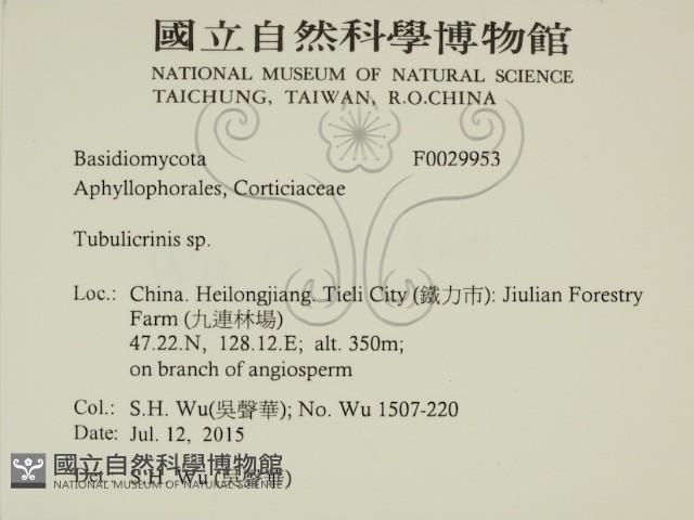 登錄號:F0029953藏品圖，第2張