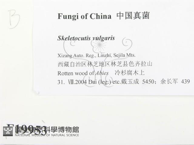 登錄號:F0019953藏品圖，第2張