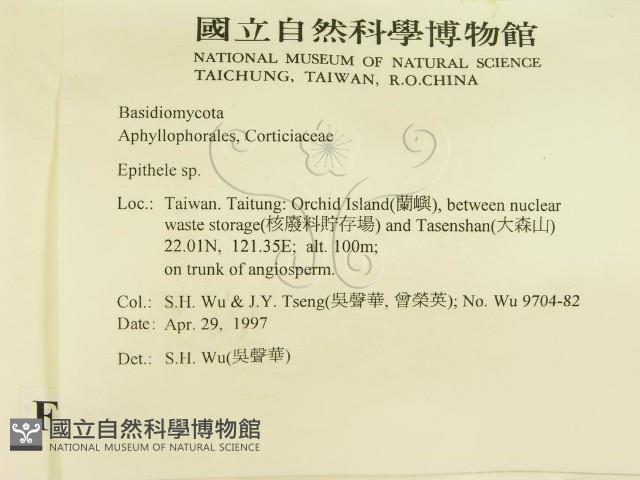 登錄號:F0008653藏品圖，第2張