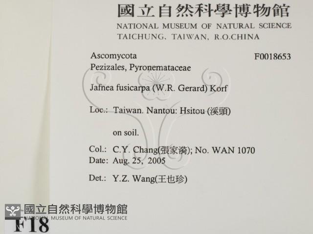 登錄號:F0018653藏品圖，第2張