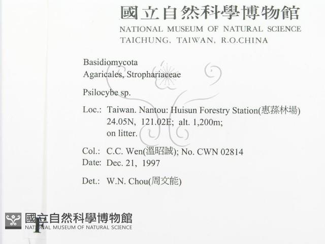 登錄號:F0010653藏品圖，第2張