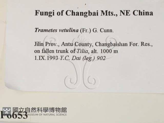 登錄號:F0006653藏品圖，第2張