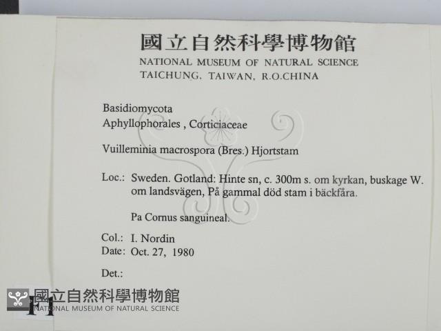 登錄號:F0016653藏品圖，第2張