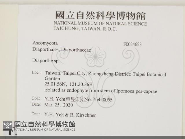 登錄號:F0034653藏品圖，第2張