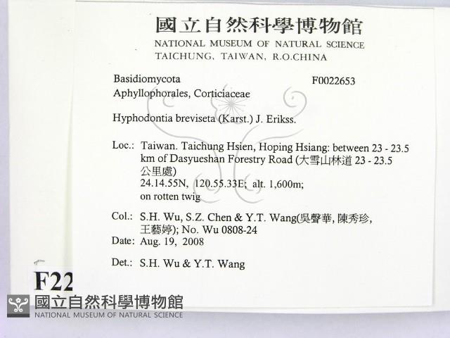 登錄號:F0022653藏品圖，第2張