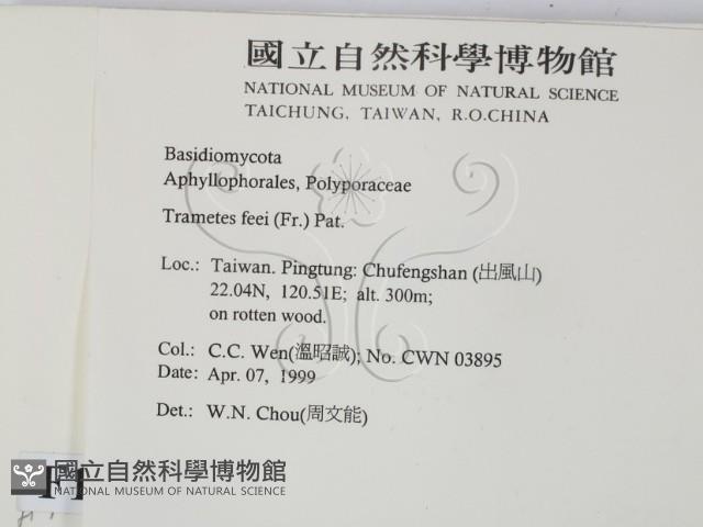 登錄號:F0012653藏品圖，第2張