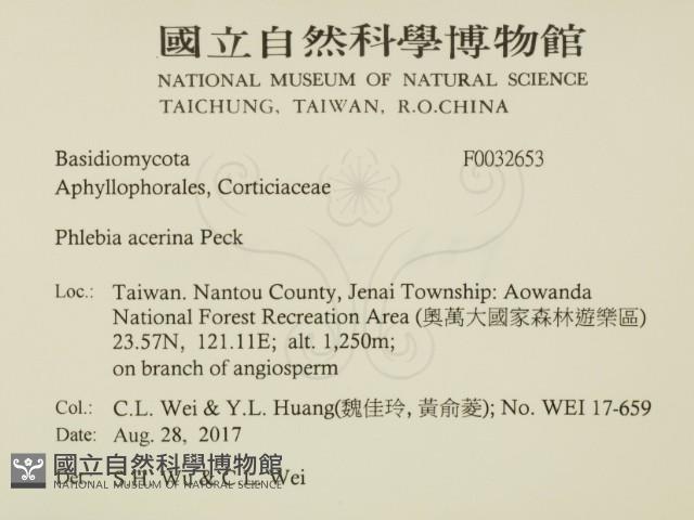 登錄號:F0032653藏品圖，第2張