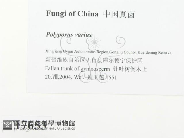 登錄號:F0017653藏品圖，第2張