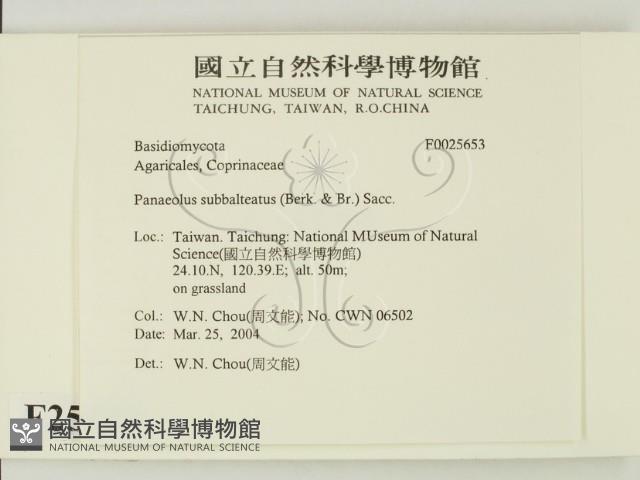 登錄號:F0025653藏品圖，第2張