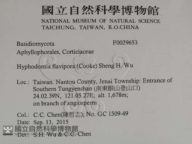 登錄號:F0029653藏品圖，第2張