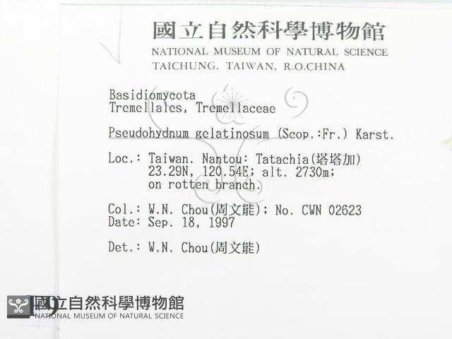 登錄號:F0009653藏品圖，第2張