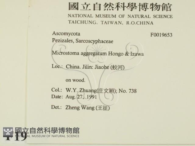 登錄號:F0019653藏品圖，第2張