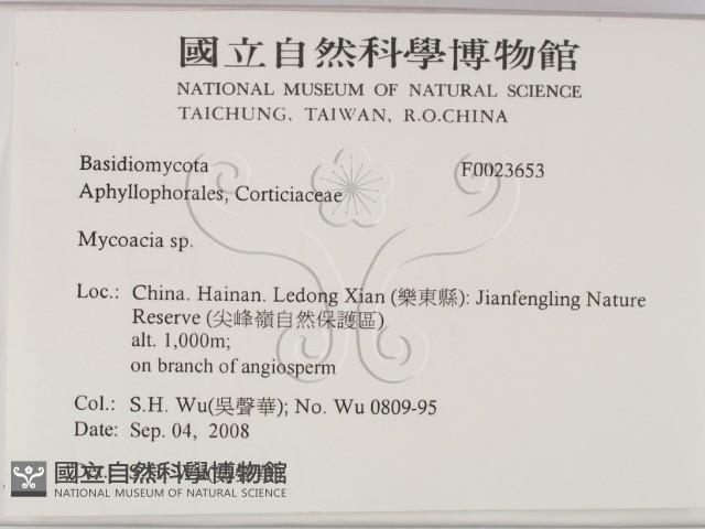 登錄號:F0023653藏品圖，第2張