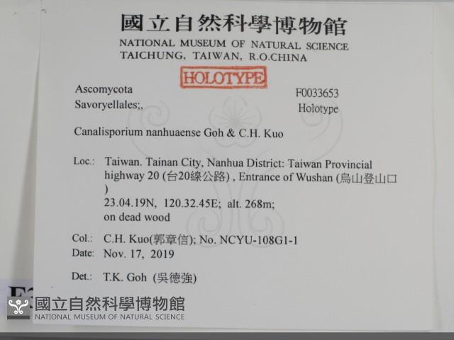 登錄號:F0033653藏品圖，第2張