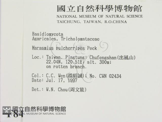 登錄號:F0008453藏品圖，第2張