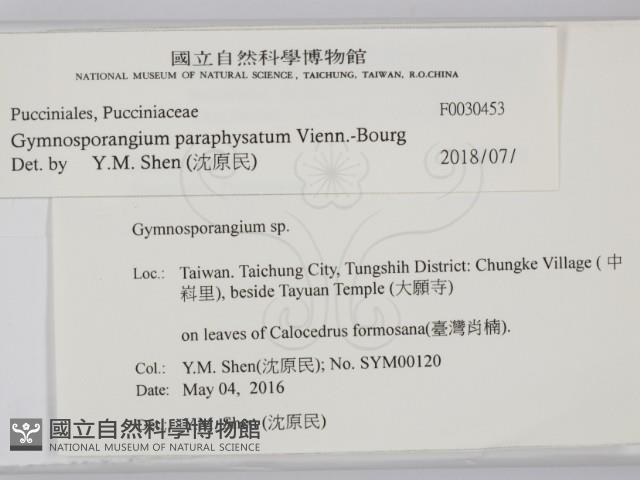 登錄號:F0030453藏品圖，第2張