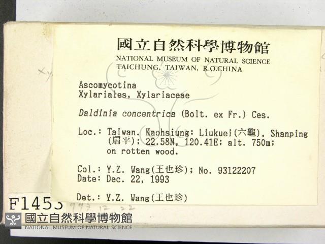 登錄號:F0001453藏品圖，第2張