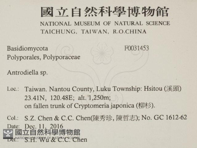 登錄號:F0031453藏品圖，第2張