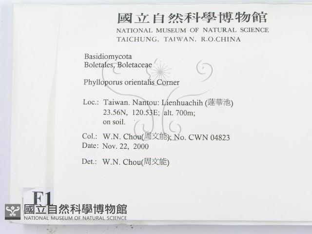 登錄號:F0014453藏品圖，第2張