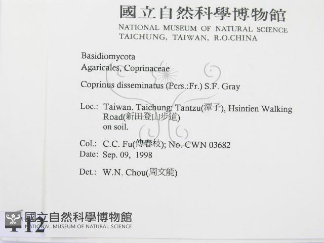 登錄號:F0012453藏品圖，第2張