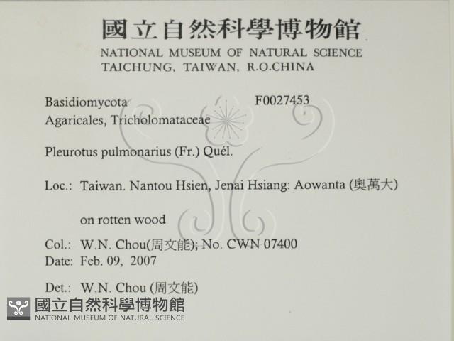 登錄號:F0027453藏品圖，第2張