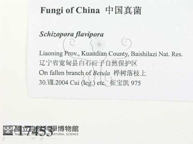 登錄號:F0017453藏品圖，第2張