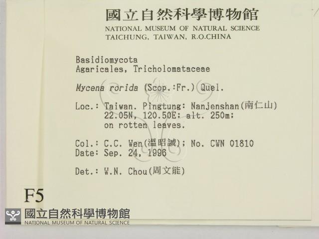 登錄號:F0005453藏品圖，第2張