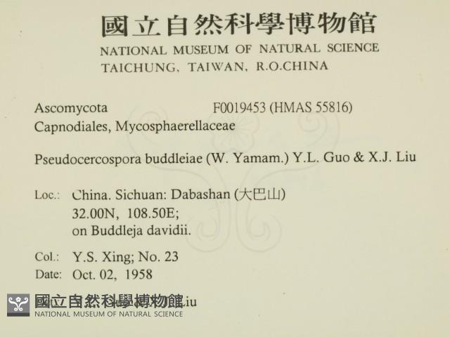 登錄號:F0019453藏品圖，第2張